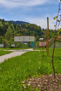 Črna na Koroškem_Drevored_Nace Zavrl_03